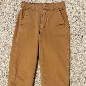 Everlane Utility Barrel Pants